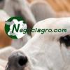 Foto de Negociagro
